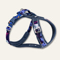 Load image into Gallery viewer, Twiggy Tags Apex Harness-Nebula