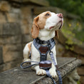 Load image into Gallery viewer, Adorable Pooch Heritage Gunsmoke Range