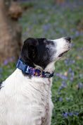 Load image into Gallery viewer, Twiggy Tags Apex Collar-Nebula