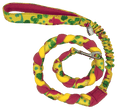 Load image into Gallery viewer, K9 Swag Bungee Fleece Lead