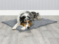 Load image into Gallery viewer, George Barclay MuttMop Deluxe Dry Mat Grey