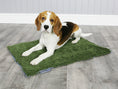 Load image into Gallery viewer, George Barclay MuttMop Deluxe Dry Mat Green