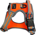 Load image into Gallery viewer, Hem & Boo Sports Harness
