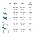 Load image into Gallery viewer, Twiggy Tags Adventure Harness Tranquil
