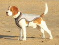 Load image into Gallery viewer, George Barclay ClimaCOOL Dog Cooling Jacket