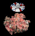 Load image into Gallery viewer, The Dogs Butcher Wild Rabbit with Fur 1kg
