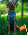 Load image into Gallery viewer, Twiggy Tags Adventure Harness Tranquil