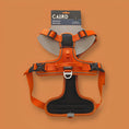 Load image into Gallery viewer, Caird Dog Harness Orange
