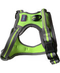 Load image into Gallery viewer, Hem & Boo Sports Harness