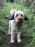 Load image into Gallery viewer, Mutts Ear Mitts Navy