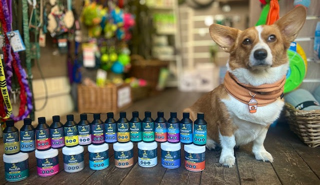 Proflax for Dogs: A Natural Boost for Skin, Coat & Everyday Health