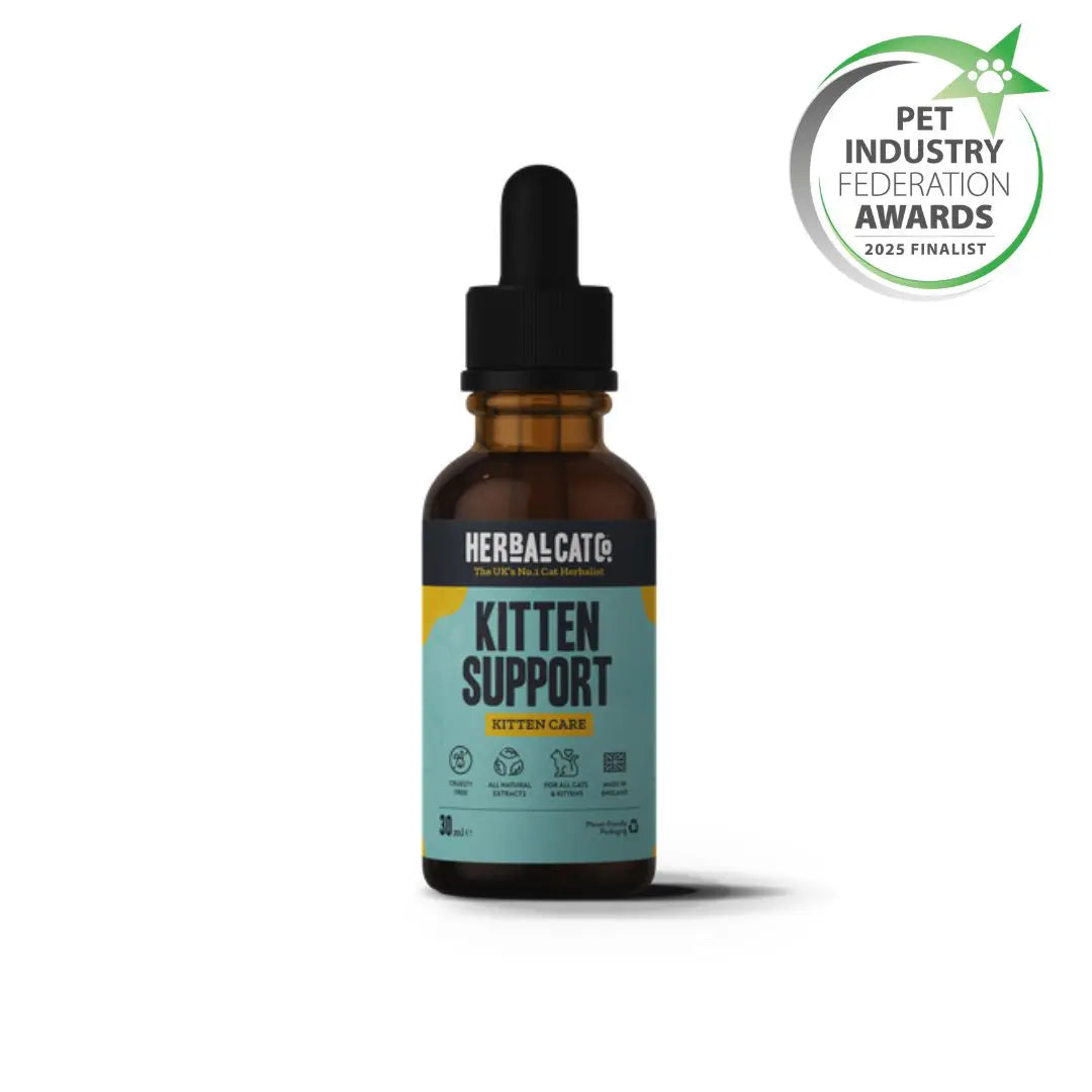Herbal Cat Kitten Support Drops