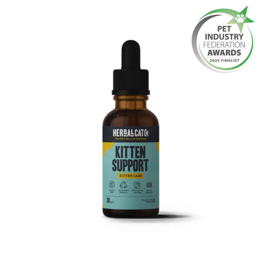Herbal Cat Kitten Support Drops