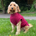 Load image into Gallery viewer, Pawsome Suits Polar Fleece Mulberry
