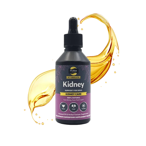 Proflax Kidney Care