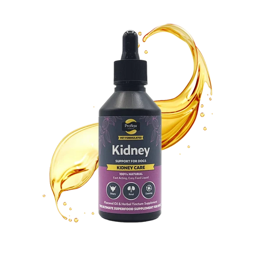 Proflax Kidney Care