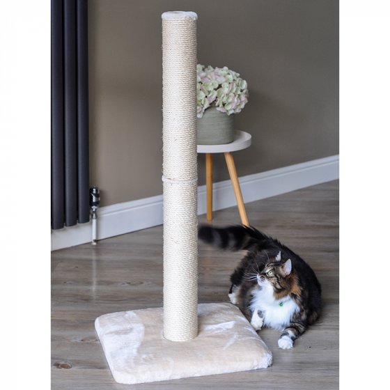 Zoon Deluxe Scratch Post