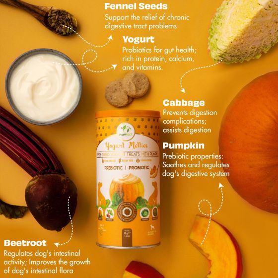Pawfect Yogurt Melties Pre and Probiotic Dog Treats 38g