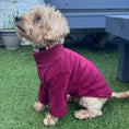 Load image into Gallery viewer, Pawsome Suits Polar Fleece Mulberry
