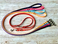 Load image into Gallery viewer, Rock It Dog Biothane Lead 1.2m
