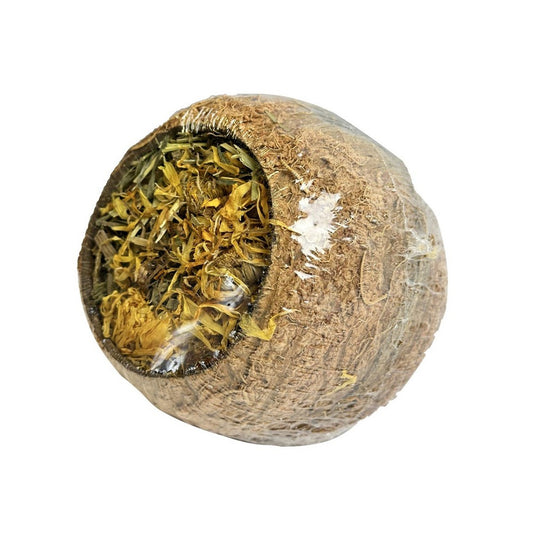 Happy Pet Forage Filled Coconut