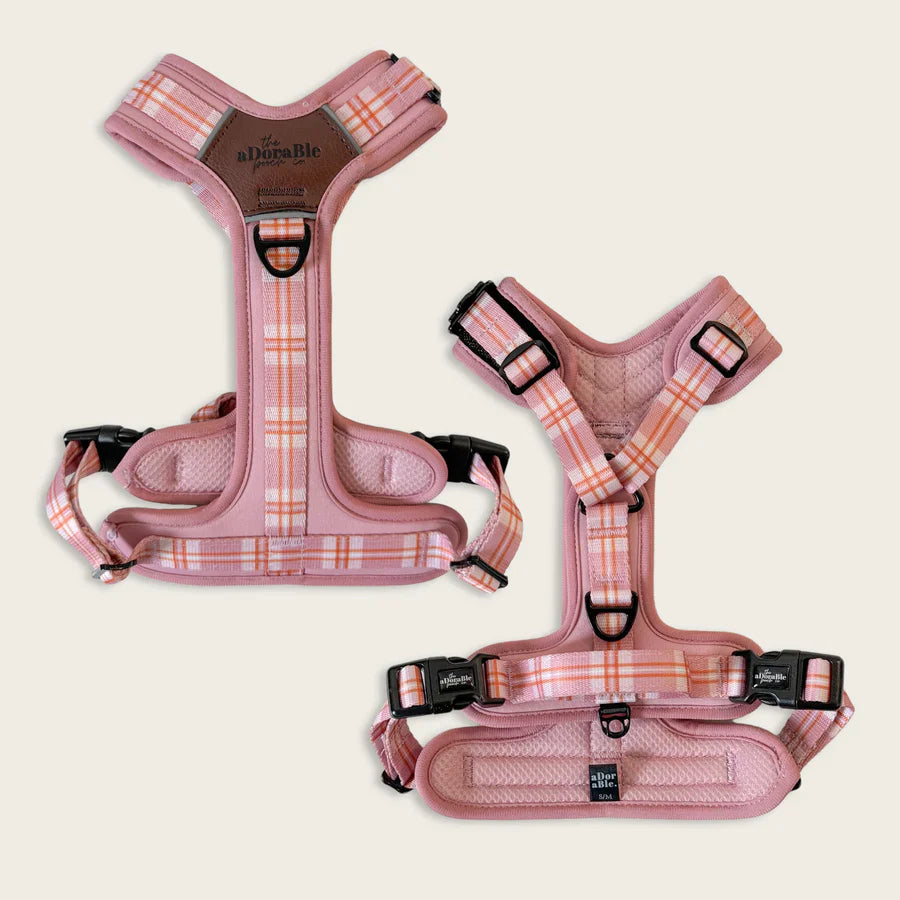Adorable Pooch Heritage Strawberry Range