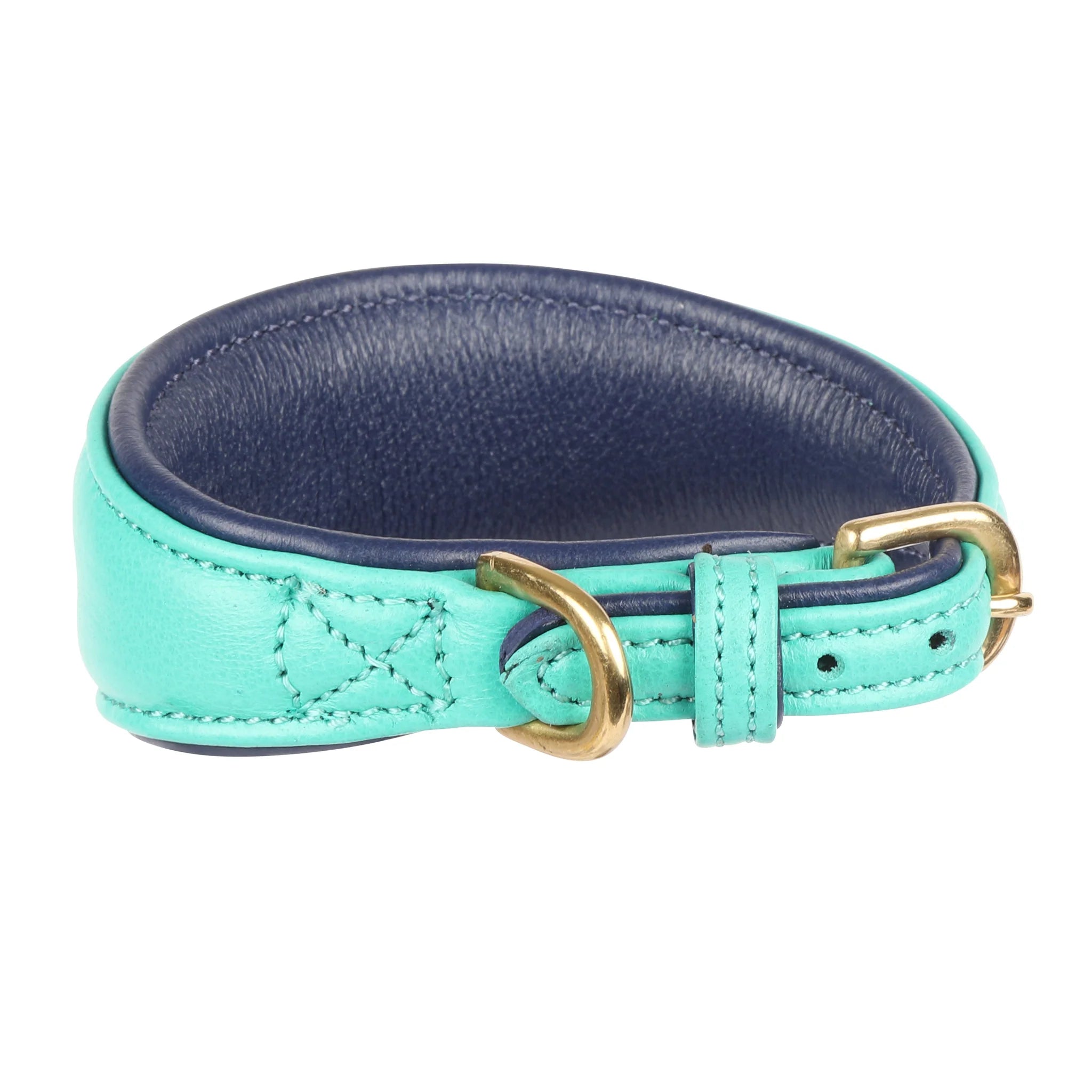 Digby & Fox Greyhound Collar Teal