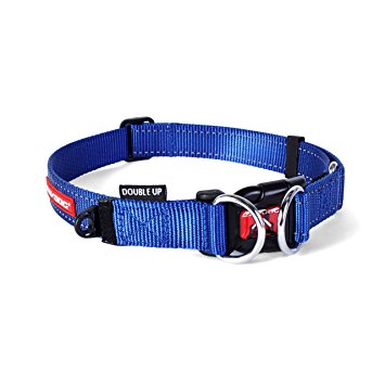 Ezy Dog Double Up Collar Blue