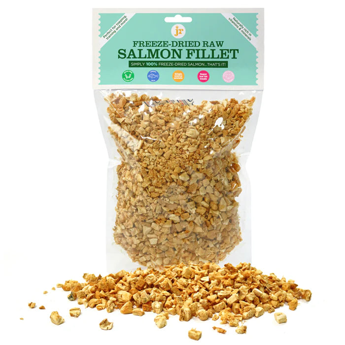 Jr Freeze Dried Salmon Fillet 200g