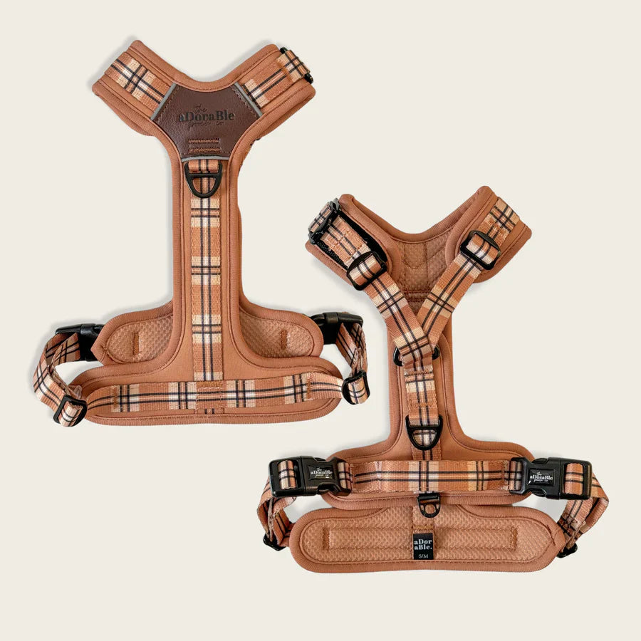 Adorable Pooch Heritage Butterscotch Range