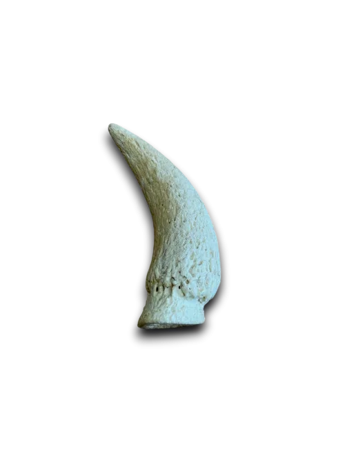 Anco Cow Horn Marrow