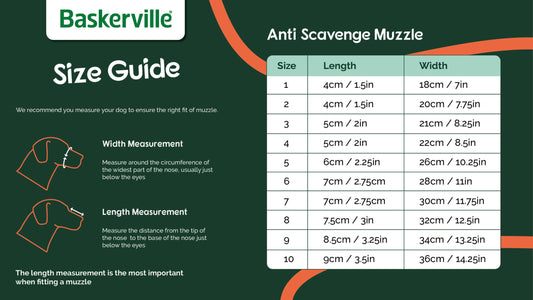 Baskerville Anti-Scavenge Muzzles