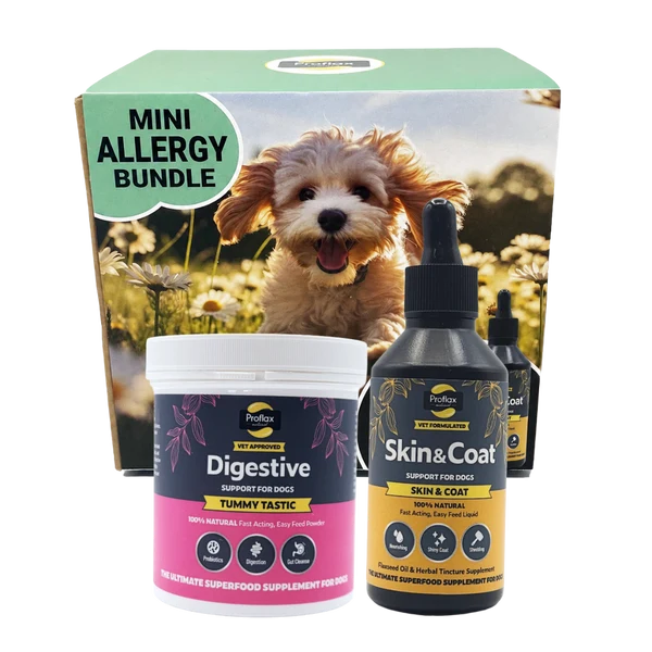 Proflax Allergy Bundle