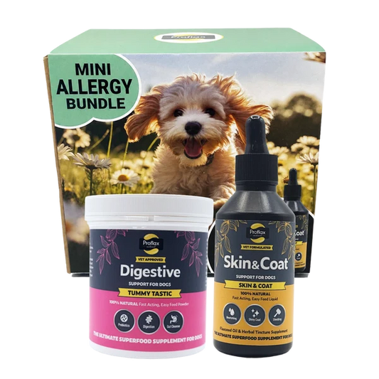 Proflax Mini Allergy Bundle