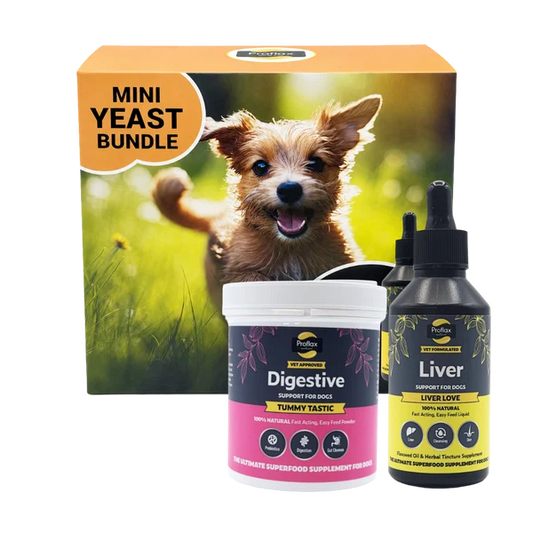 Proflax Mini Yeast Bundle