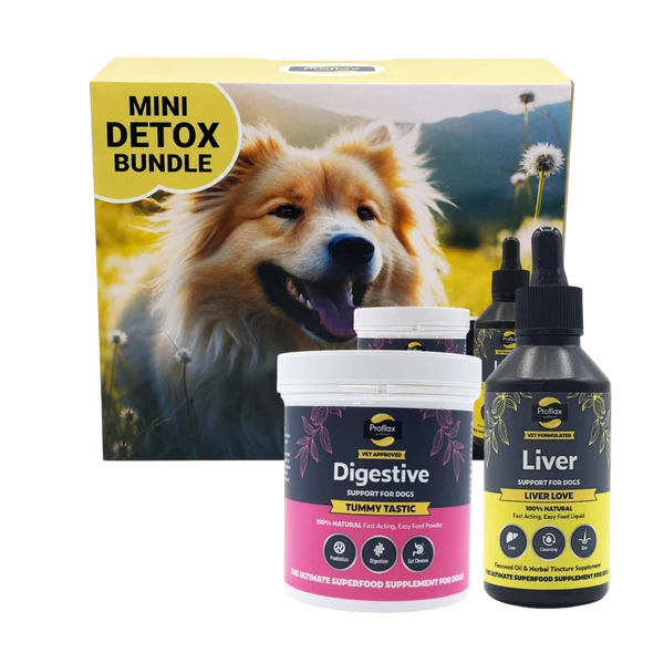 Proflax Mini Detox Bundle