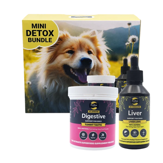 Proflax Mini Detox Bundle