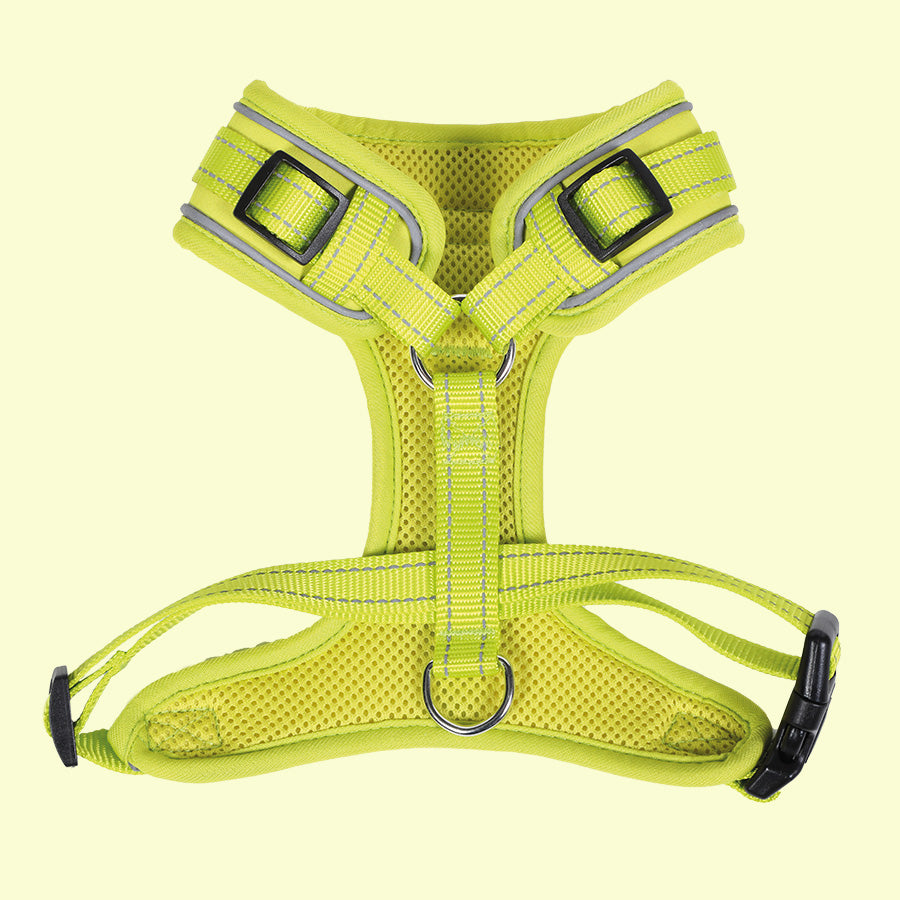 DoodleBone AirMesh Harness Citrus