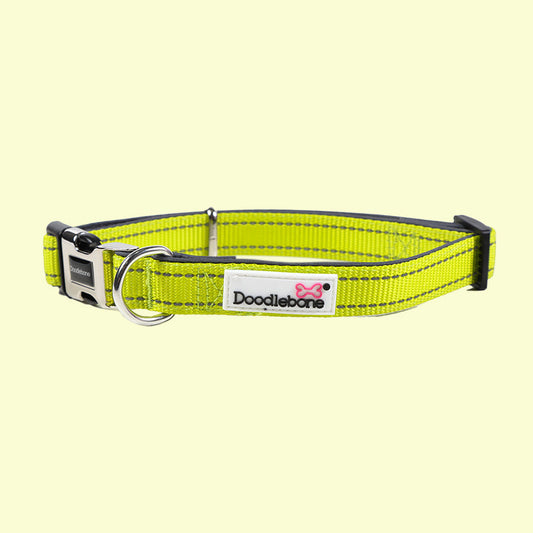 DoodleBone Padded Collar Citrus