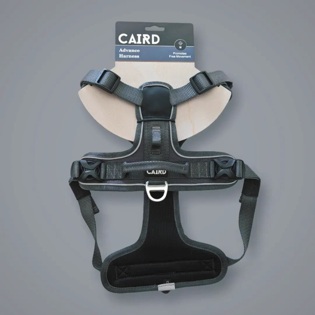 Caird Dog Harness Charcoal