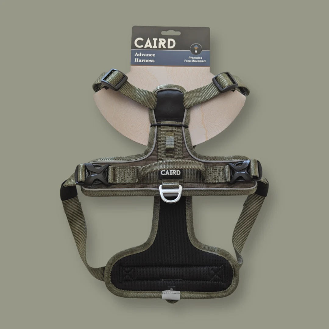 Caird Dog Harness Khaki