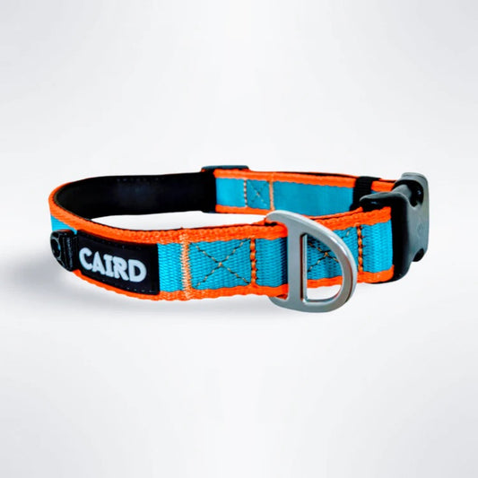 Caird Journey Light Adjustable Collar