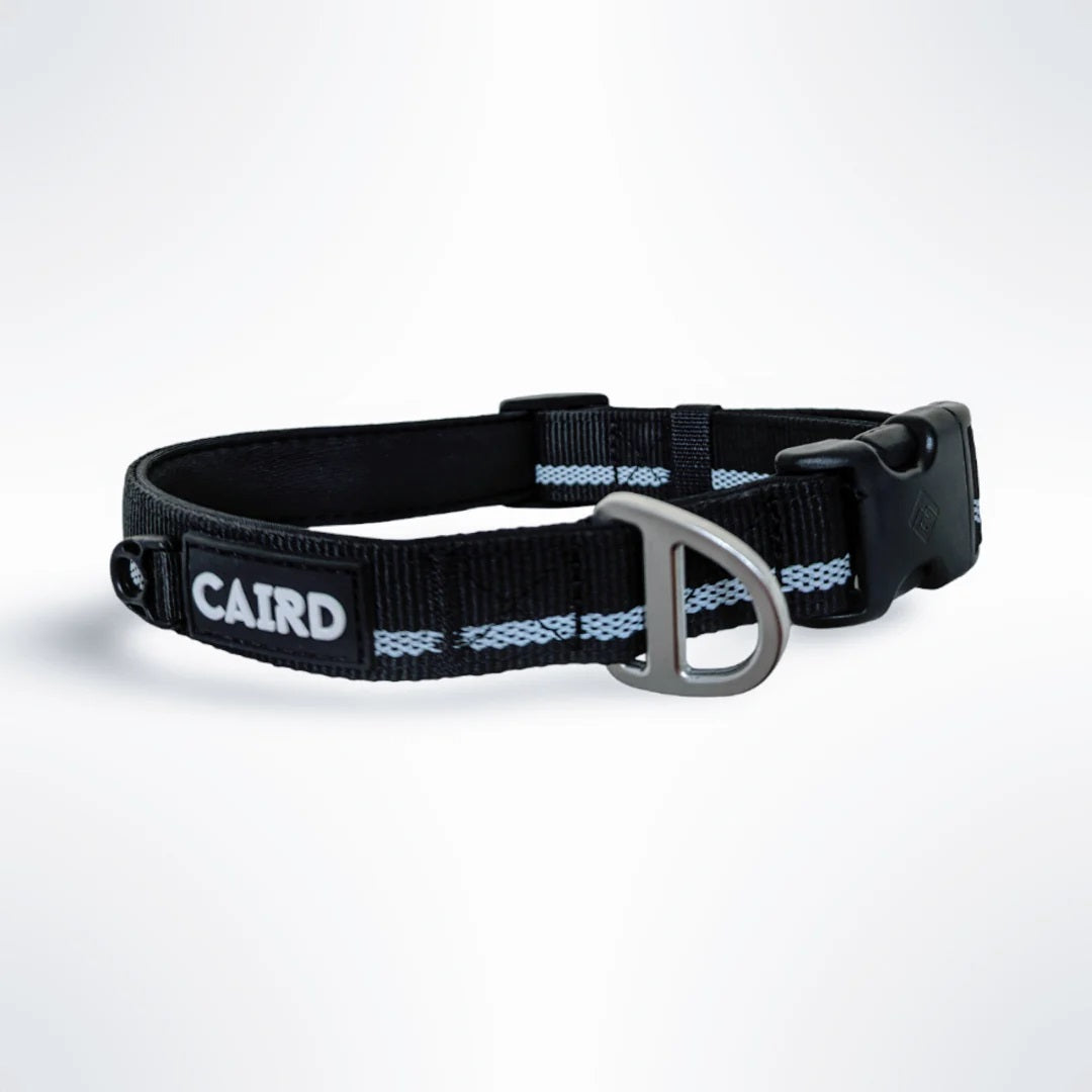 Caird Journey Light Adjustable Collar