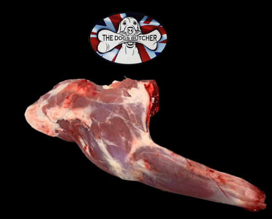 The Dogs Butcher MunjacDeer Fore Leg