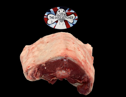The Dogs Butcher Muntjac Deer Saddle