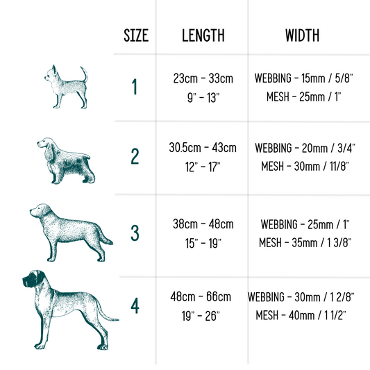 Twiggy Tags Adventure Collar Tranquil