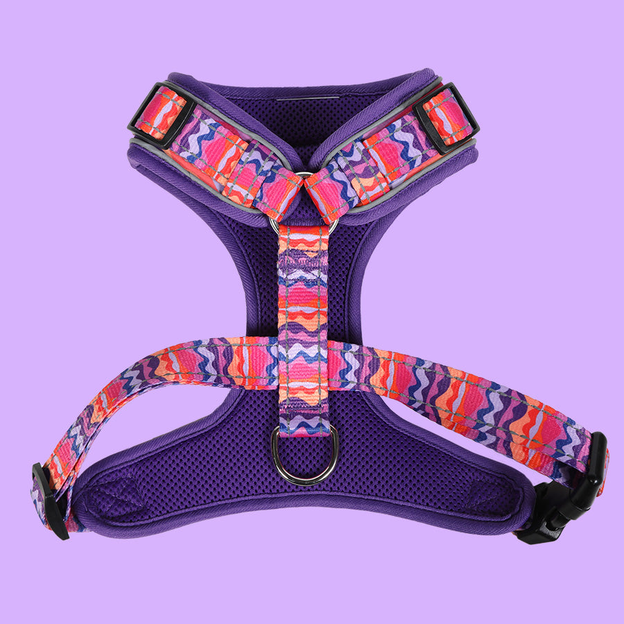 DoodleBone AirMesh Harness Dunes