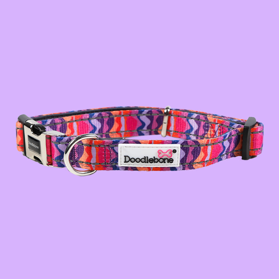 DoodleBone Padded Collar Dunes