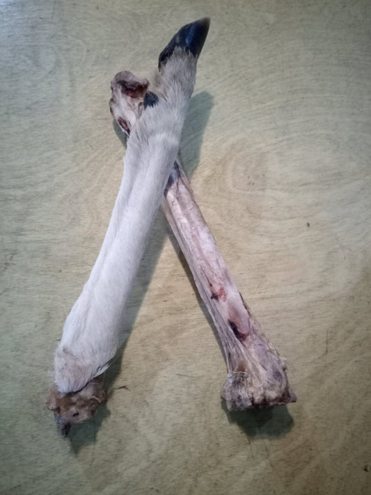 Air Dried Roe Deer Leg