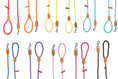 Load image into Gallery viewer, Doodlebone Rope Lead
